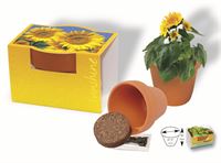 VASETTO GIRASOLE